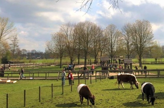 Gemeente Breda zorgt voor de dieren