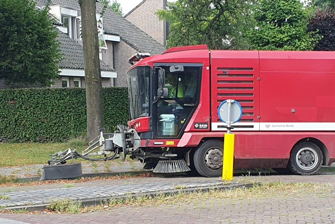 Groenonderhoud