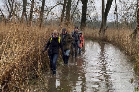 Vogelaars op laarzenpad in de Biesbosch